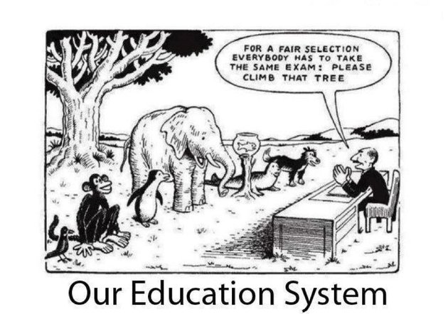 education-system-cartoon